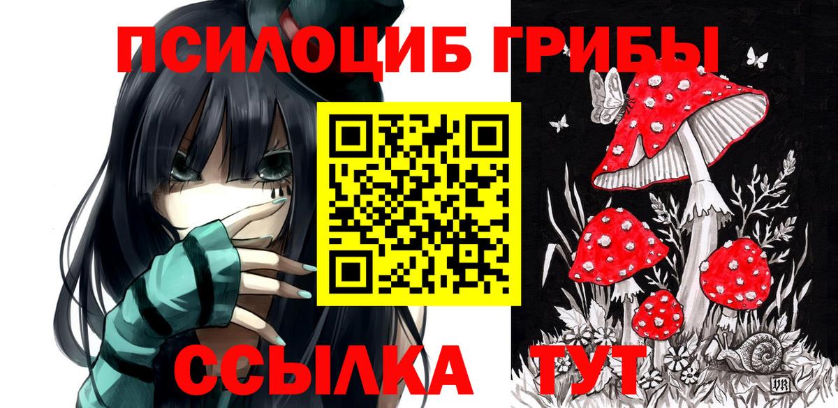 Псилоцибиновые грибы ЛСД Нижнеудинск