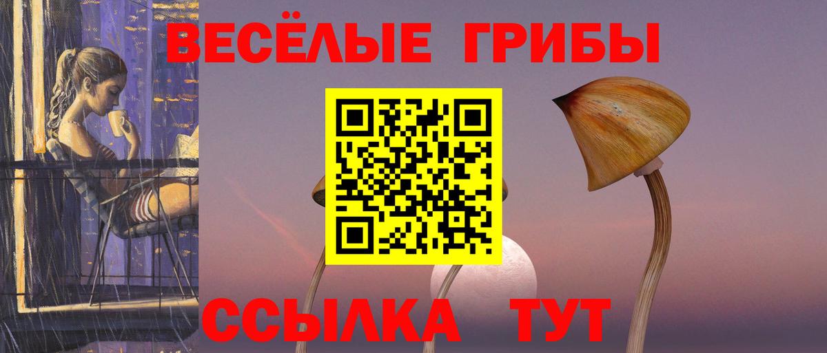 Нижнеудинск  Псилоцибиновые грибы ЛСД  Вход с VPN 
